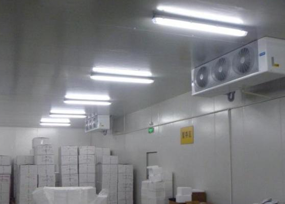 血漿蛋白低溫倉儲造價