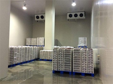 醫(yī)藥冷庫(kù)建造 醫(yī)藥冷庫(kù)建造