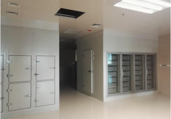 超低溫醫(yī)藥冷庫(kù)建造 超低溫醫(yī)藥冷庫(kù)建造