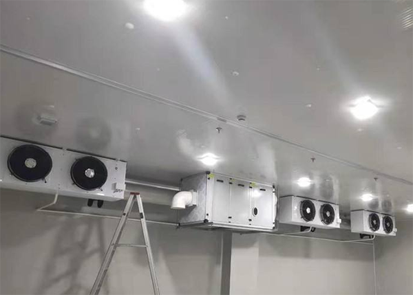  醫(yī)藥冷庫(kù)如何進(jìn)行藥品的儲(chǔ)藏和設(shè)備的保養(yǎng)？