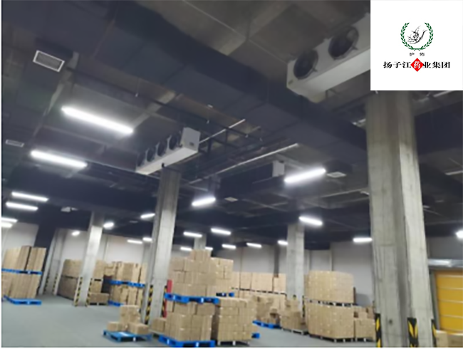 揚子江藥業(yè)集團醫(yī)藥冷庫設(shè)計安裝工程案例 揚子江藥業(yè)集團醫(yī)藥冷庫設(shè)計安裝工程案例