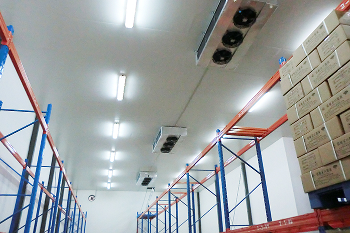 北京順義區(qū)10000立方米醫(yī)藥冷庫(kù)建造工程