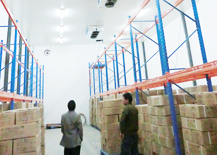 北京順義區(qū)10000立方米醫(yī)藥冷庫(kù)建造工程