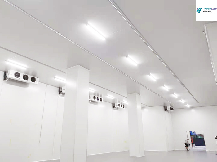 成都威斯克(新冠疫苗車(chē)間)220m3生物醫(yī)藥疫苗冷藏庫(kù)建造