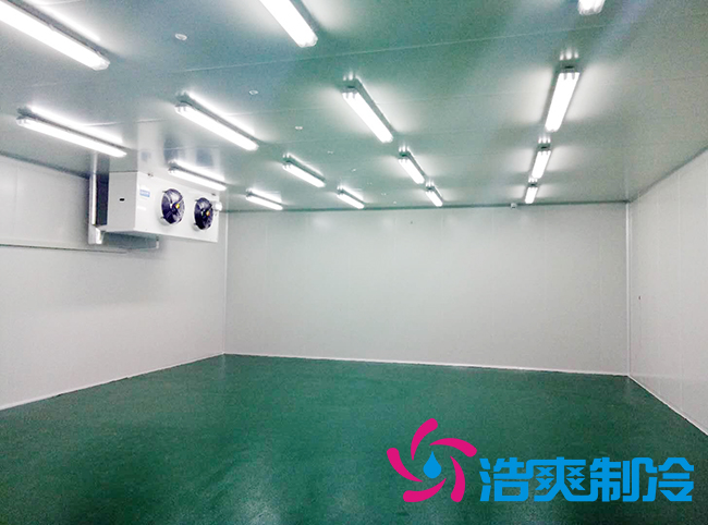 藥品冷庫安裝方案及設(shè)計標(biāo)準(zhǔn) 藥品冷庫安裝方案及設(shè)計標(biāo)準(zhǔn)