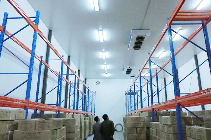 藥企集團(tuán)建造9000立方米生物疫苗冷庫造價多少錢？