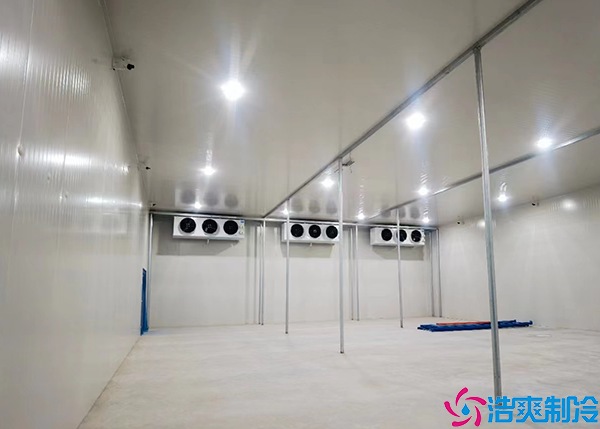  850平廣西醫(yī)藥物流冷庫建造成本分析