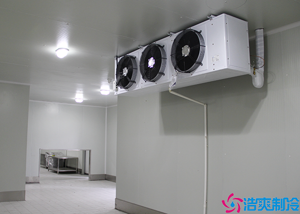 小型醫(yī)藥冷庫