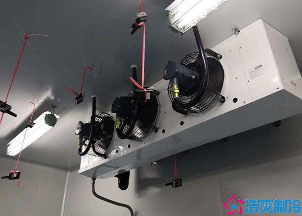 醫(yī)藥冷凍庫(kù)制冷設(shè)備