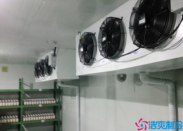 大型藥品冷藏庫