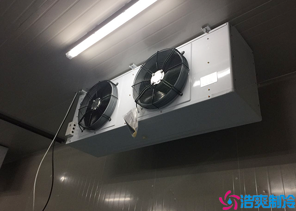 醫(yī)藥冷凍庫