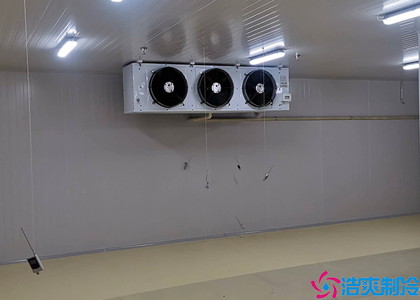  江西小型醫(yī)療冷庫(kù)造價(jià)多少錢一平方？