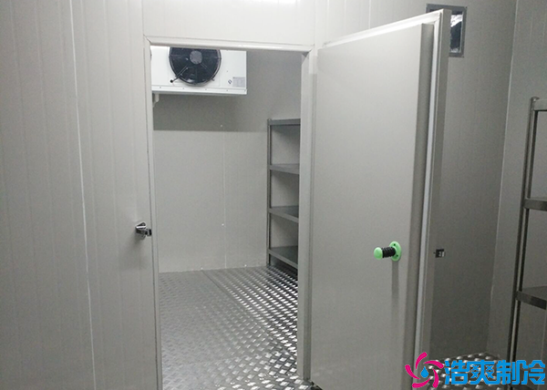小型醫(yī)藥冷庫