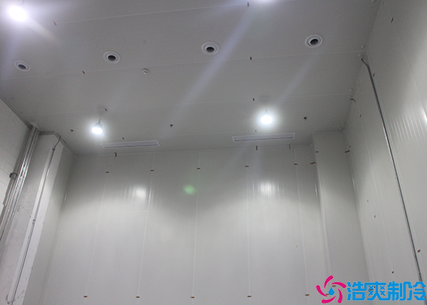 醫(yī)藥冷凍庫(kù)