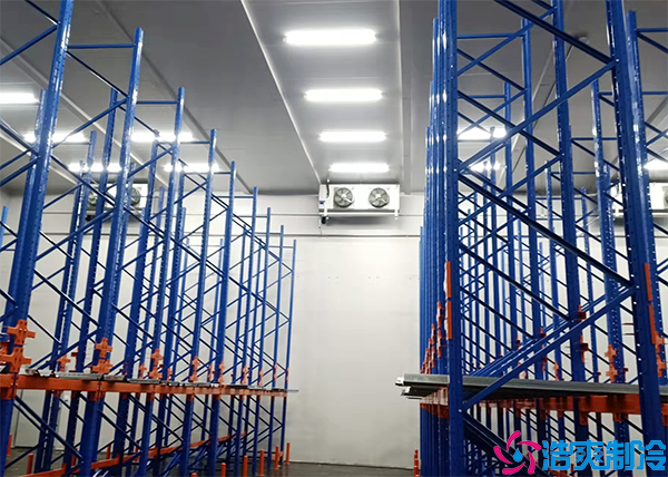 醫(yī)藥物流冷庫(kù)