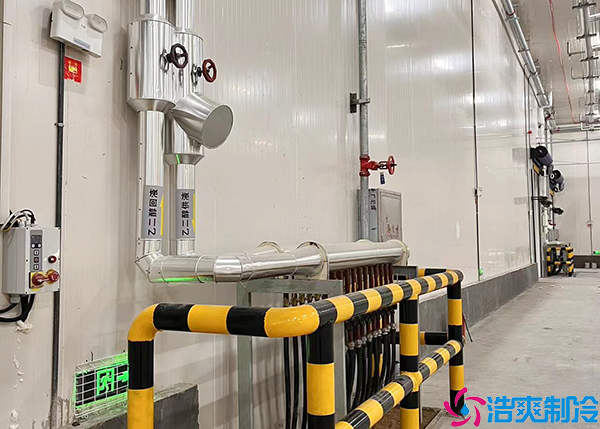 醫(yī)藥物流冷庫