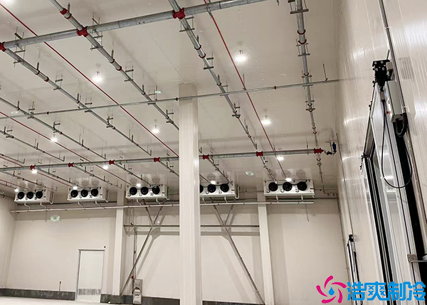  1300平延安醫(yī)藥物流冷庫造價多少錢？