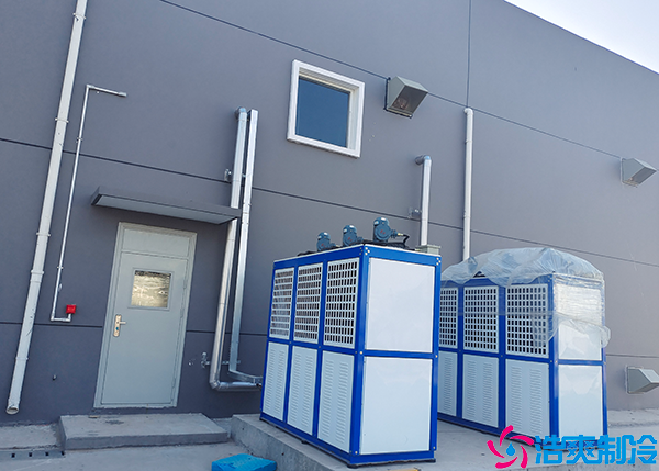 大型醫(yī)藥物流冷庫