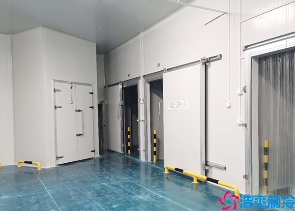 醫(yī)藥物流冷庫