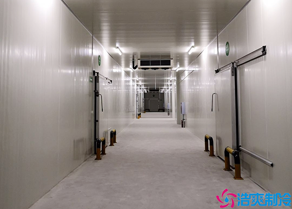 醫(yī)藥冷凍庫(kù)