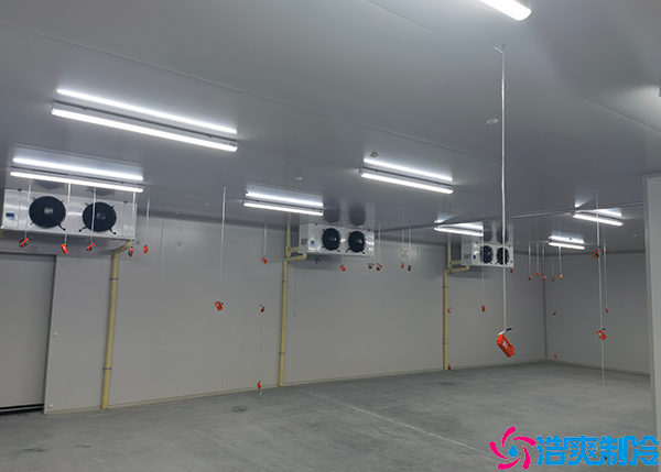 醫(yī)藥冷凍庫(kù)