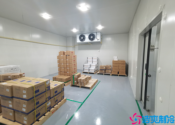  恩施醫(yī)藥冷庫：優(yōu)化冷藏技術(shù)，守護藥物療效