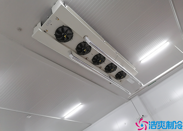 小型醫(yī)藥冷庫