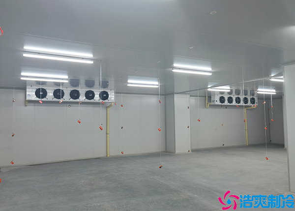  南陽(yáng)大型醫(yī)院冷庫(kù)造價(jià)多少錢一平方？