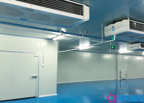  綿陽(yáng)醫(yī)藥冷凍庫(kù)建造施工單位