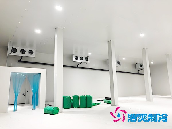 醫(yī)藥冷凍庫的安裝特性有哪些？