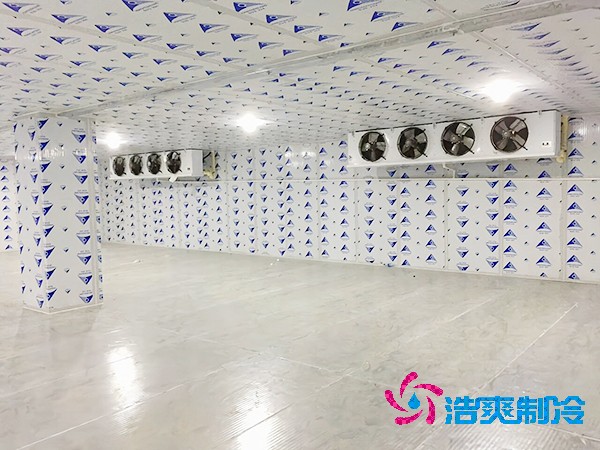 醫(yī)藥冷庫(kù)安裝費(fèi)用及細(xì)節(jié)解析