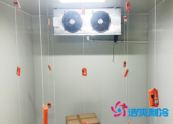 醫(yī)藥冷庫造價一平米竟要這么多錢？溫度決定成本！