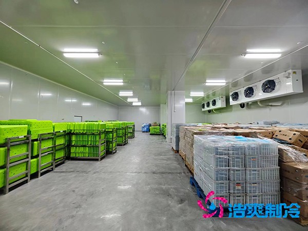 醫(yī)藥冷庫建設方案及造價概覽