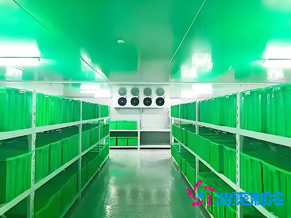 工業(yè)藥品冷庫建設(shè)安裝價格多少錢？工業(yè)藥品冷庫造價構(gòu)成