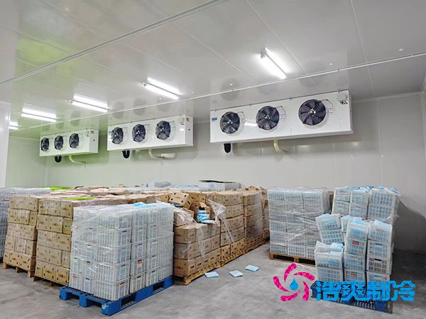  建造疾控中心的疫苗冷藏庫(kù)需要遵循哪些標(biāo)準(zhǔn)要求?