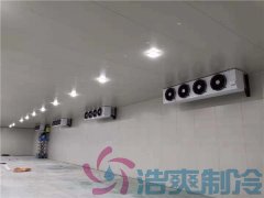  建設(shè)一間醫(yī)藥疫苗冷庫價格費用？